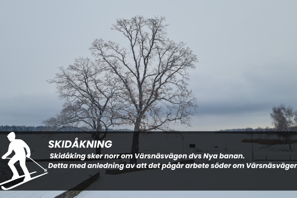 Skidåkning