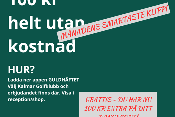 100 kr helt utan kostnad