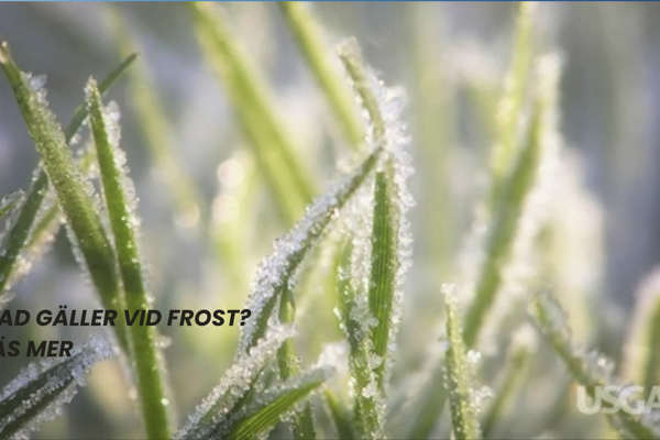 Detta gäller vid frost