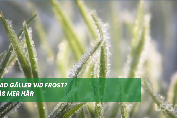 Vad gäller vid frost?