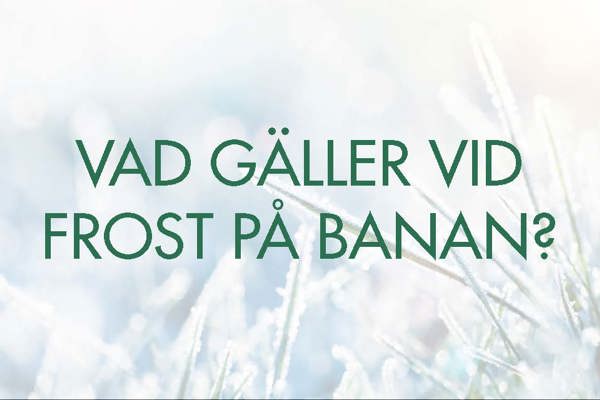 Vid frost - spela på våra vintergreener!
